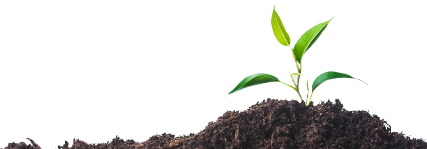 soil soil